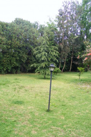 Vista Parcial Jardín